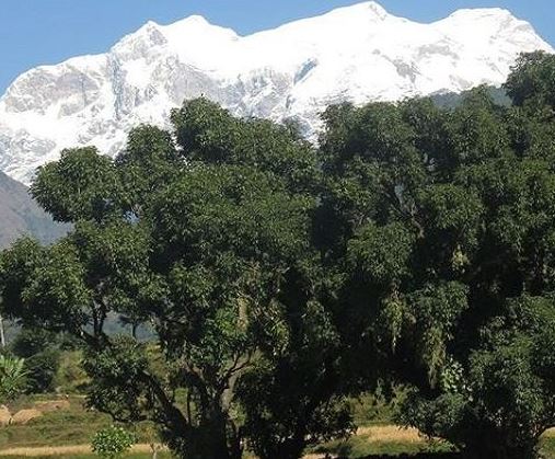 Trek from Soti Khola to Maccha Khola